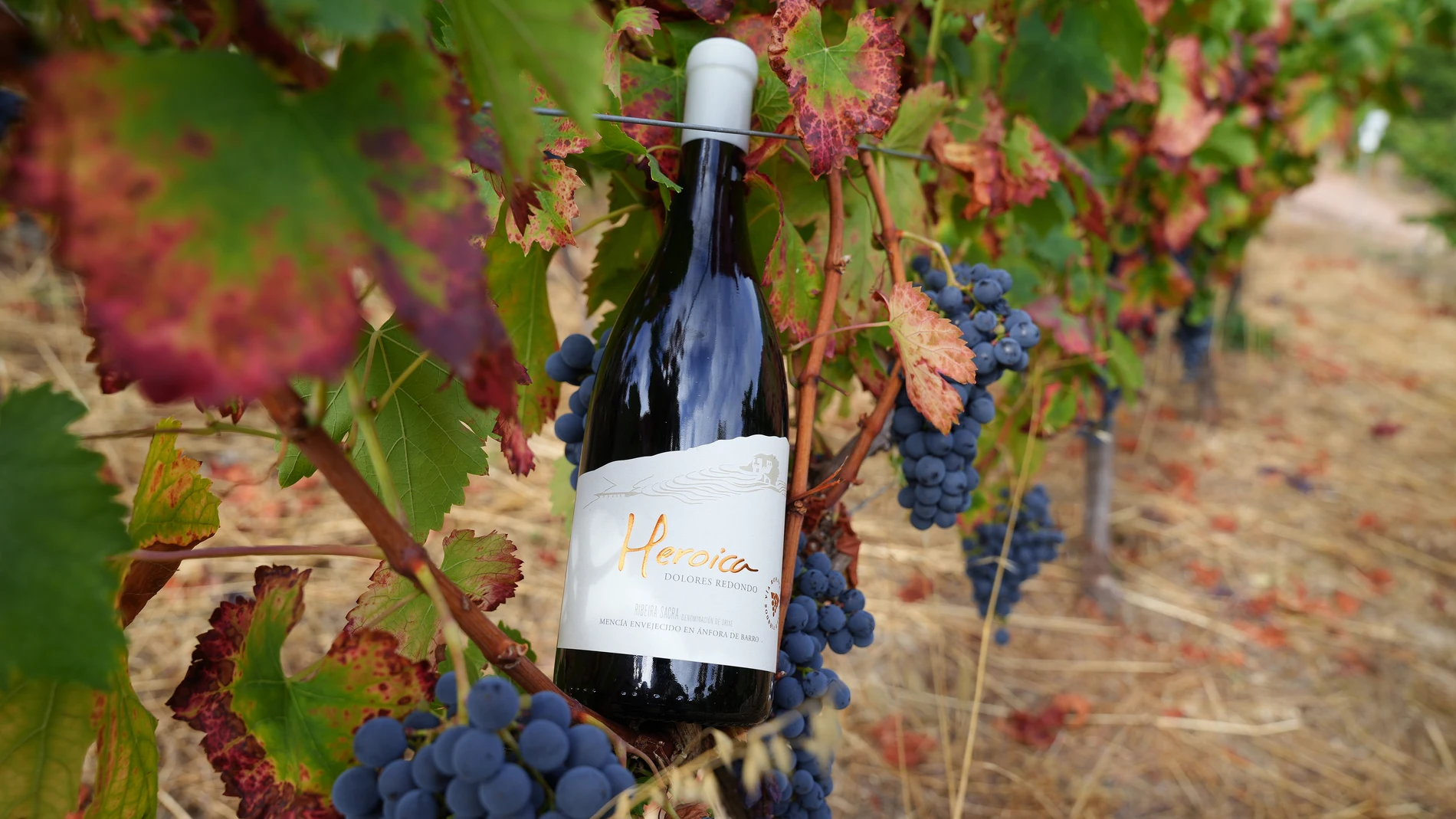 "Heroica", un vino delicioso con alma literaria