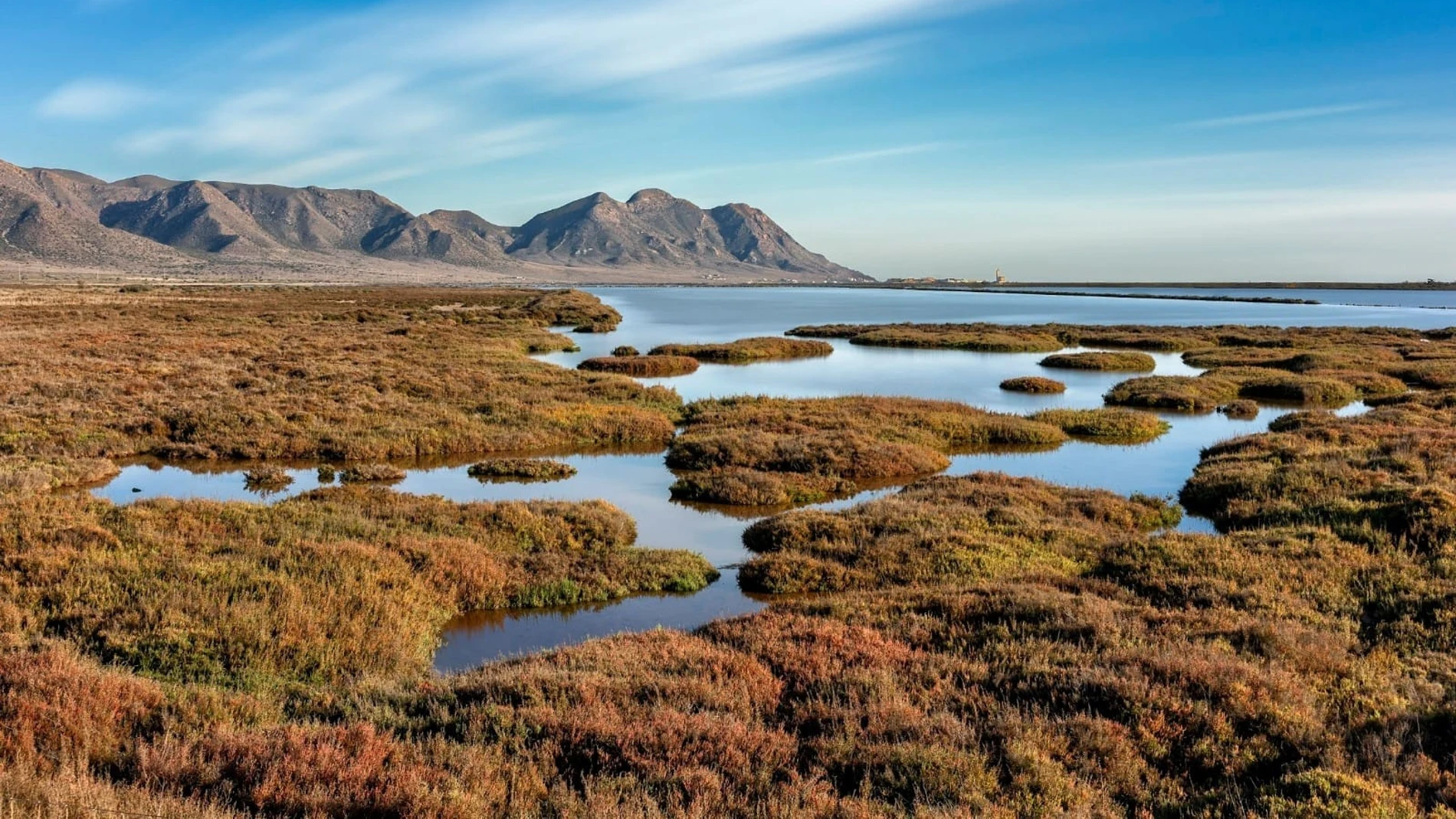 Salinas del Cabo de Gata