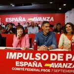 Comité Federal del PSOE