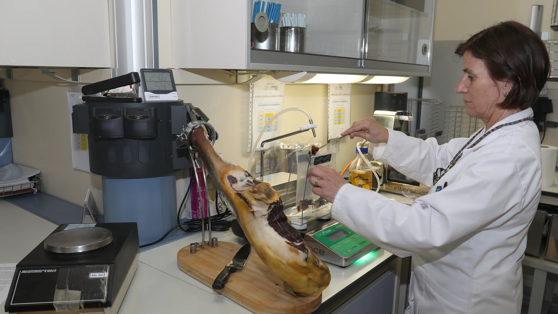 El Laboratorio de Salud Pública de Palencia vigila la presencia de bacterias en los alimentos, las bebidas o las zonas de baño para evitar intoxicaciones