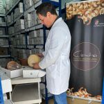 Más de 1.200 muestras de queso procedentes de 16 países compiten desde el lunes en los Premios Cincho 2024