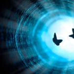 Revelaciones desde el más allá