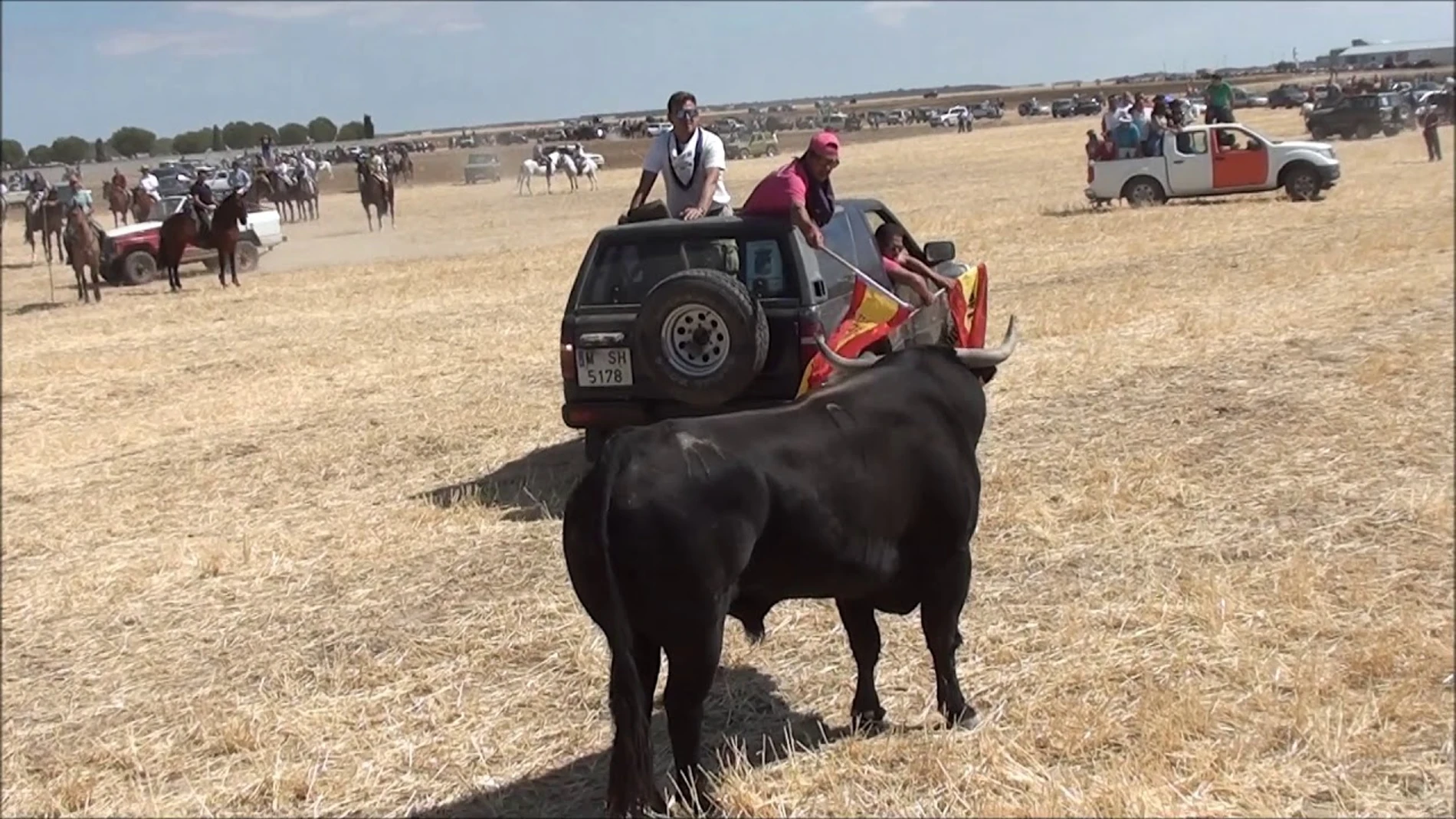 Encierro por el campo en El Casar (Guadalajara) - 7 de septiembre, 2022