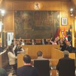 Pleno de la Diputación de León