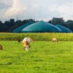 Economía.- Cepsa inicia las operaciones como trader de biometano para descarbonizar su actividad