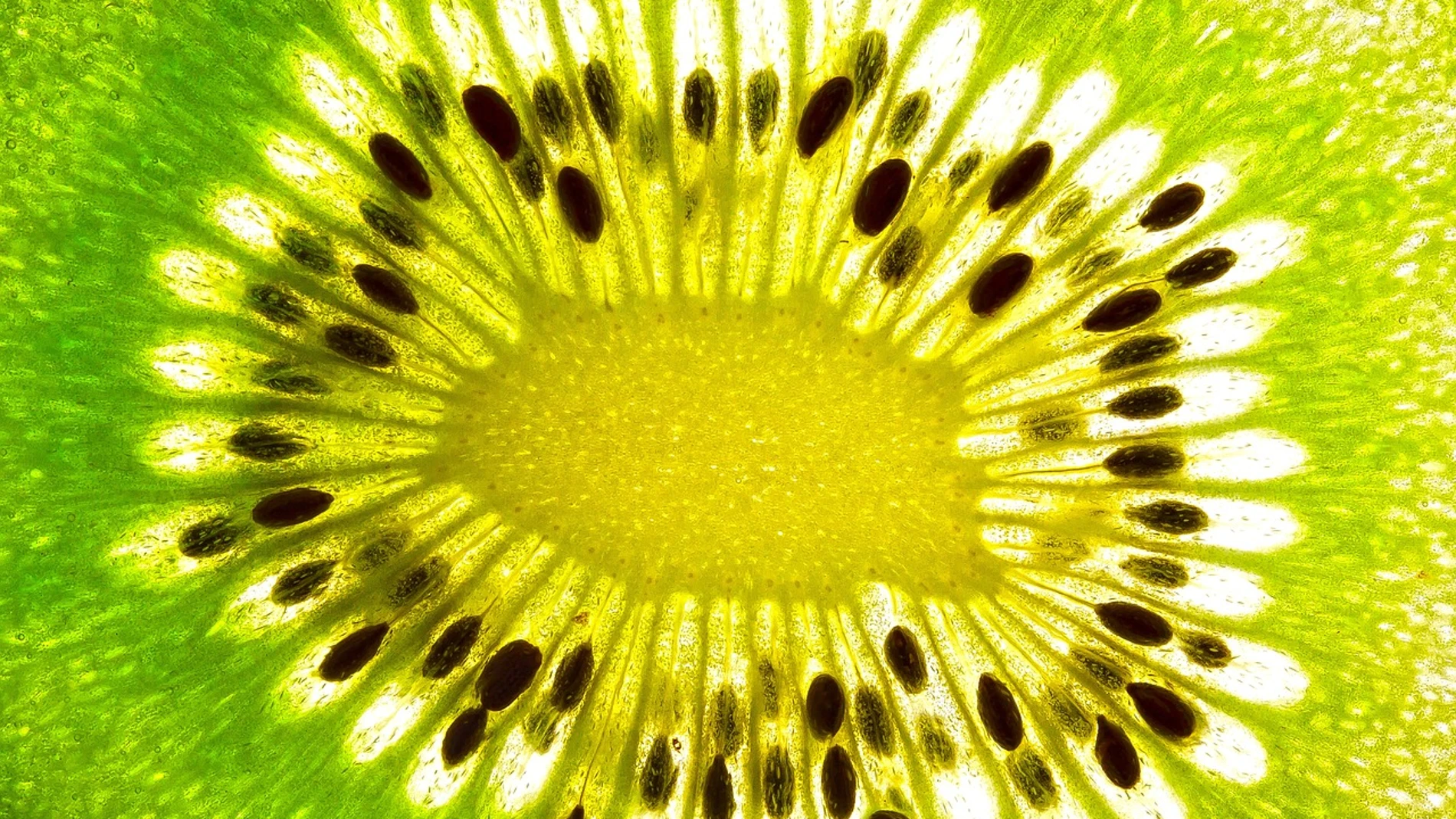 Fruta otoño vitamina C