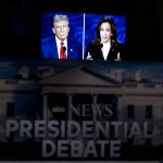 Election 2024 Debate Expressions