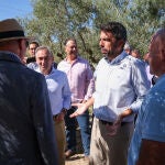 Cada explotación ganadera percibirá de media 4.000 euros en función del número de cabezas de ganado, mientras que los agricultores de secano podrán recibir hasta 4.500 euros