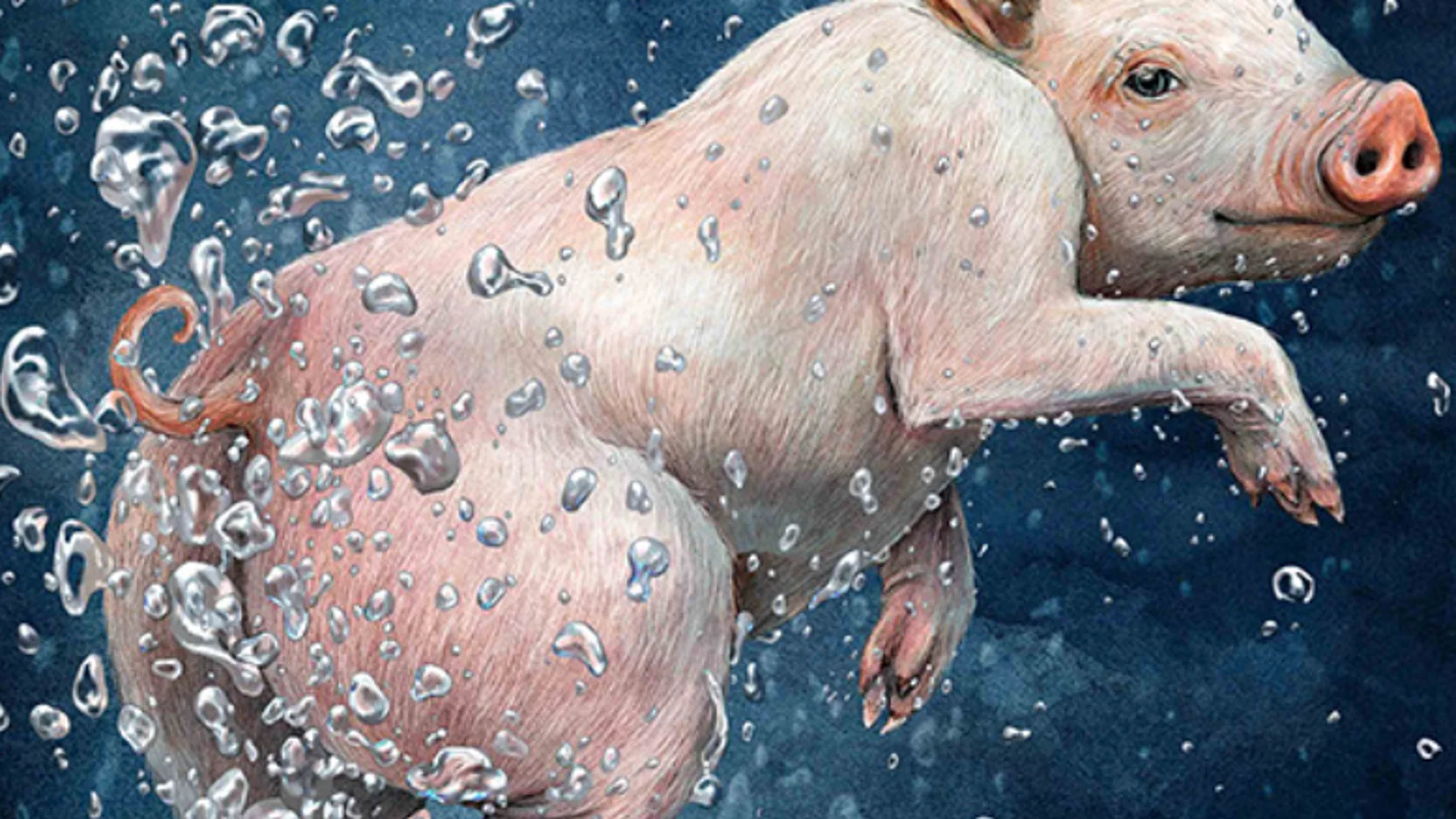 Ig Nobel