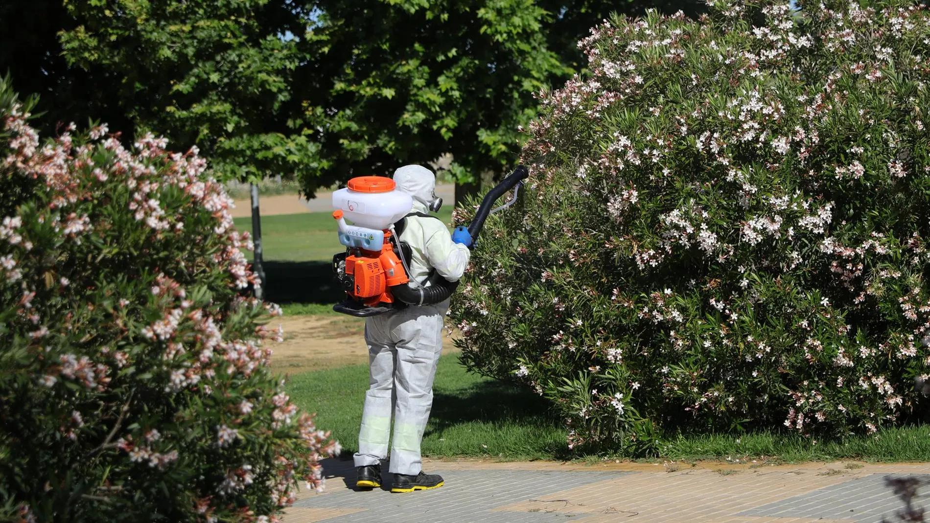 Un trabajador fumigando contra el mosquito del Nilo