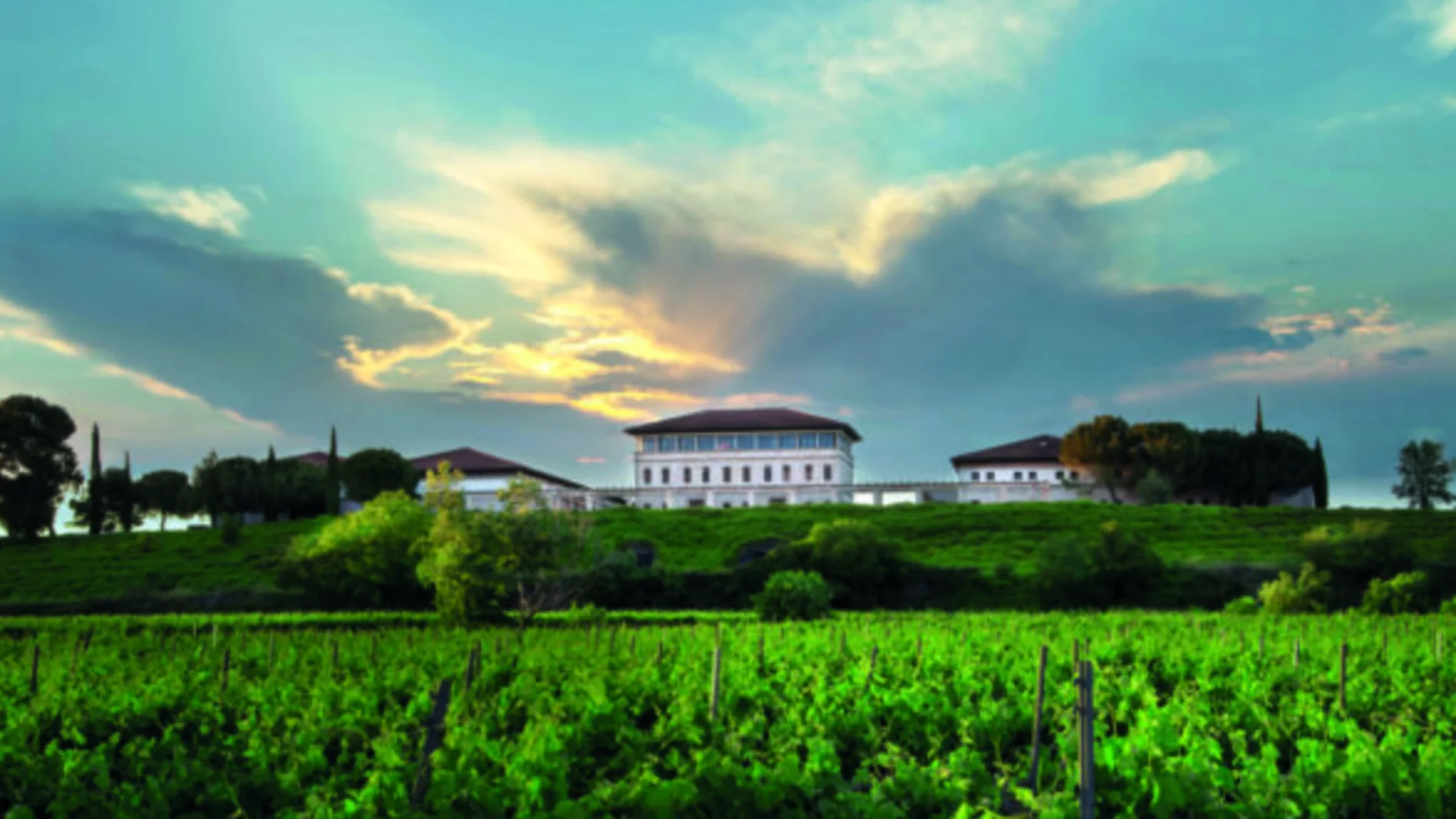Rioja Vega: un compromiso con la sostenibilidad