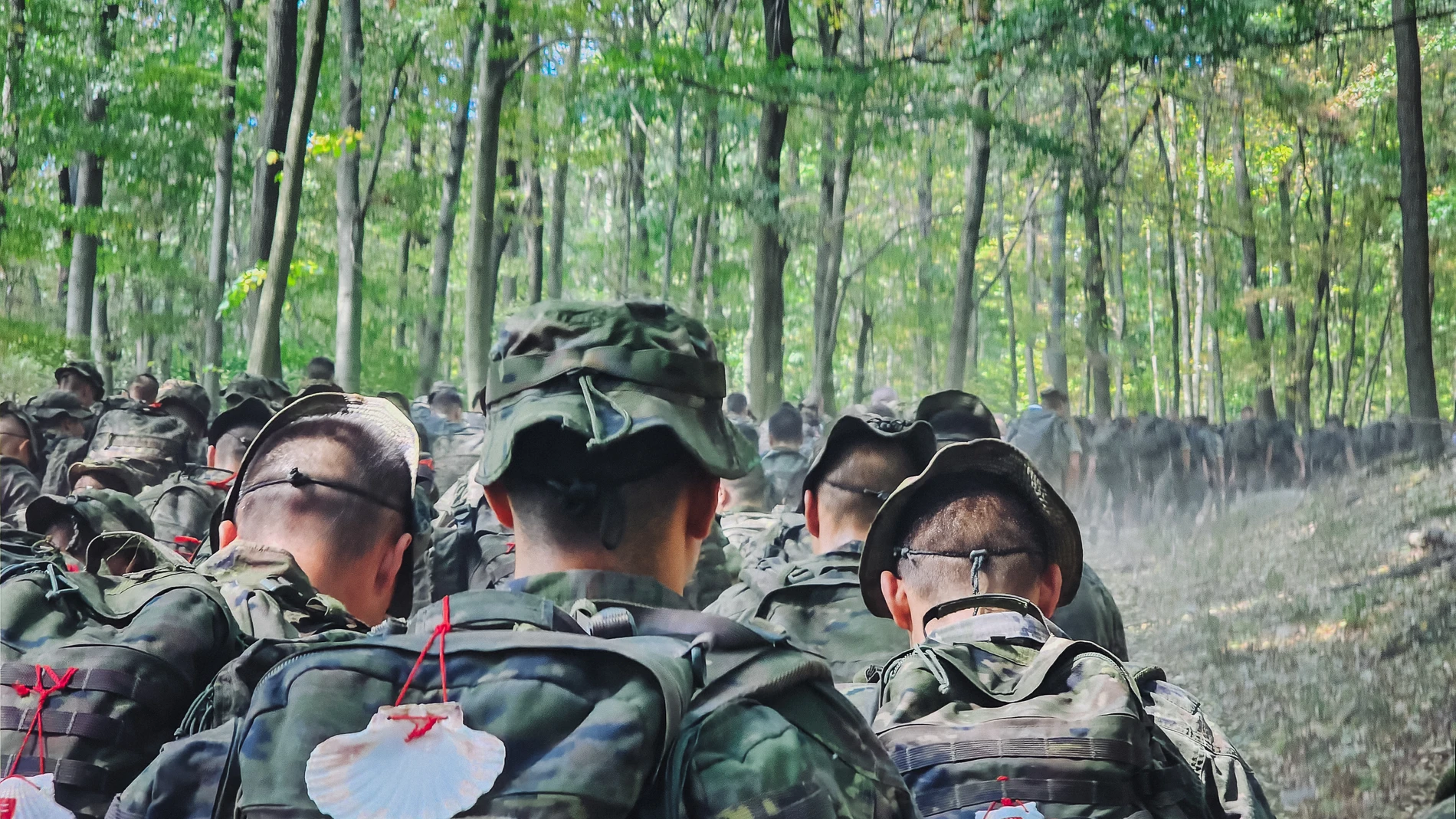 Los militares españoles durante la etapa