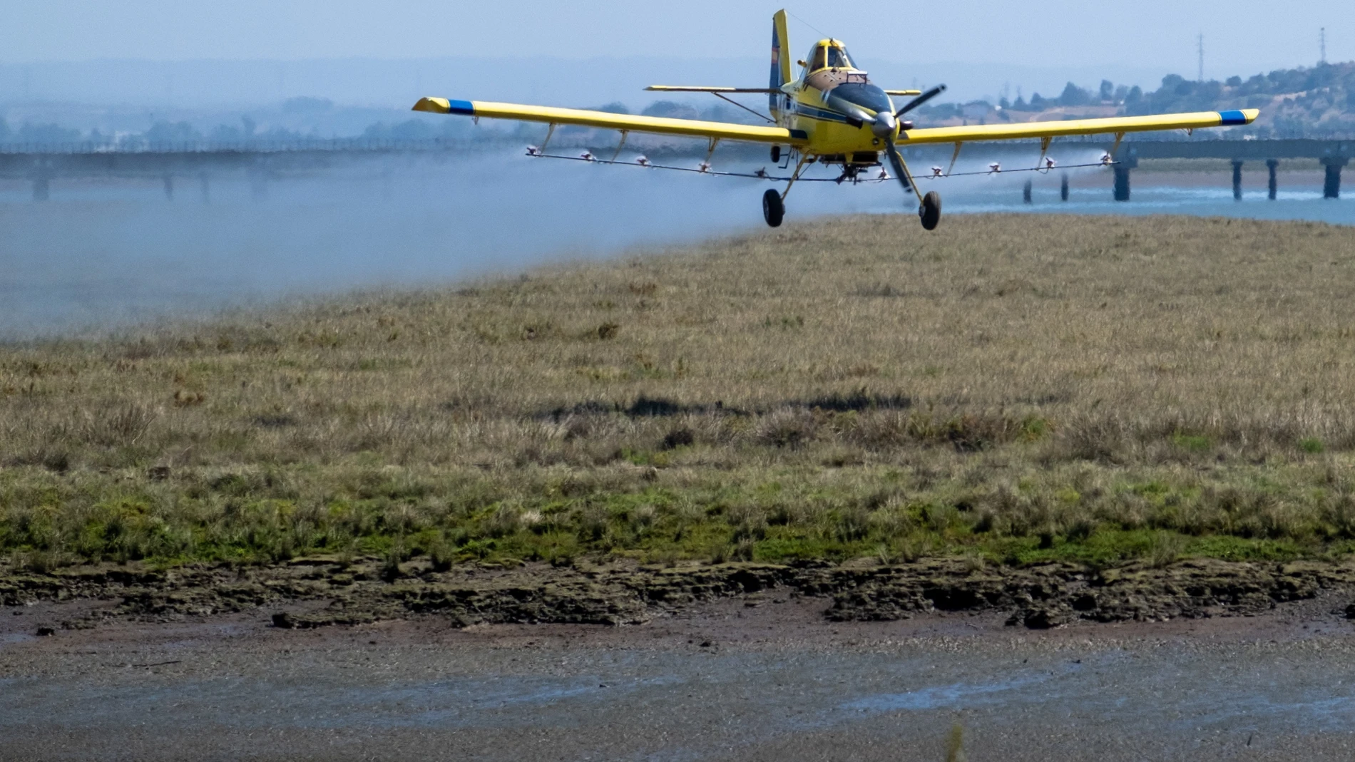Una avioneta del Servicio de Control de Plagas de la Diputación de Huelva fumiga una de las zonas de riesgo