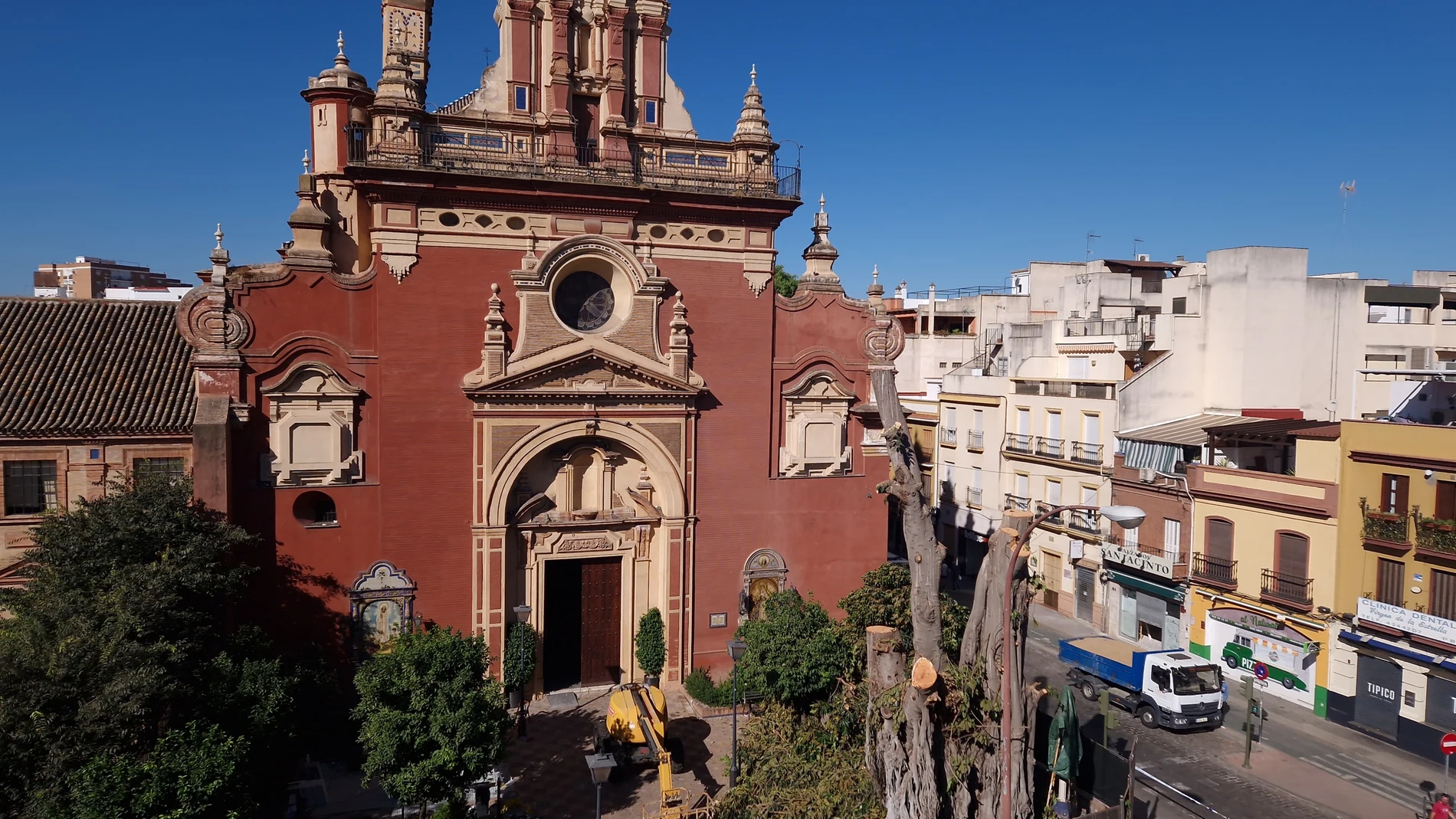El ficus de San Jacinto con la Iglesia de La Candelaria de fondo