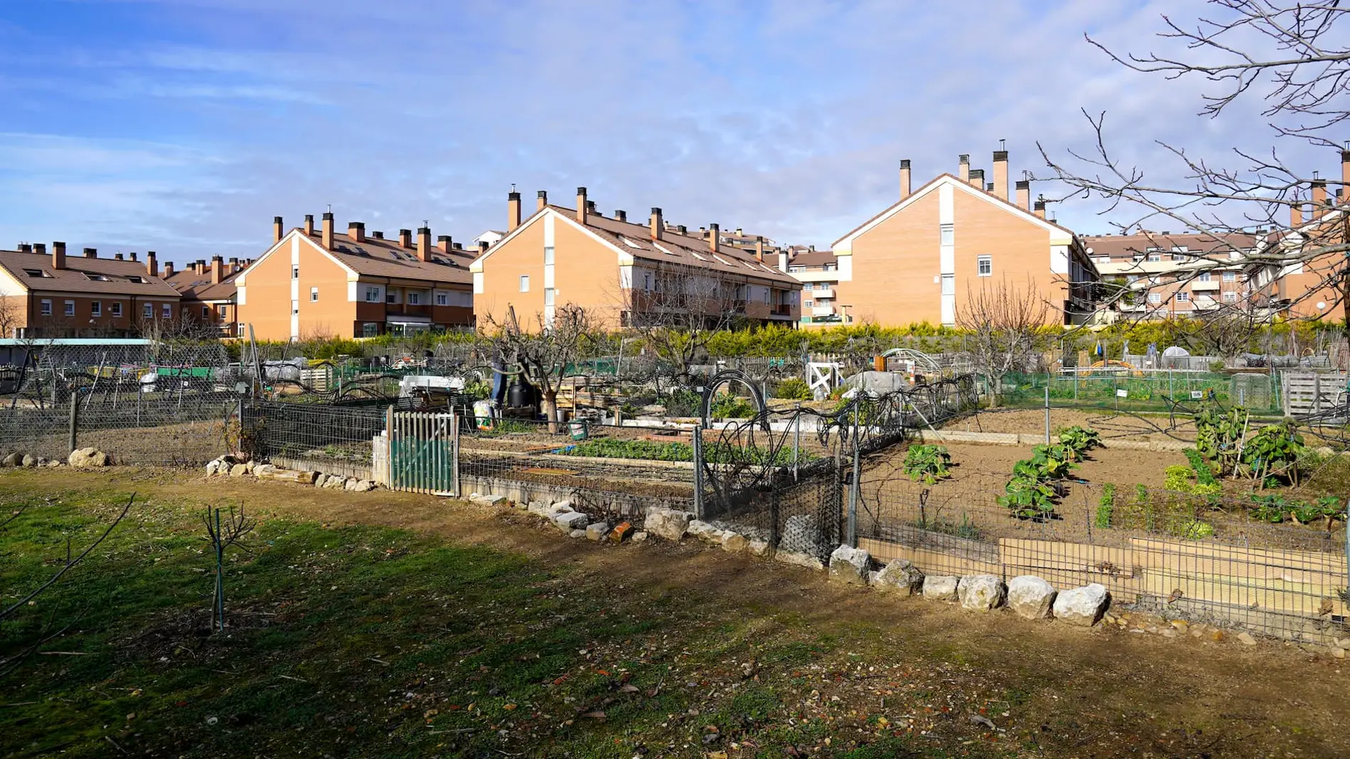 Huertos urbanos de la localidad vallisoletana de Arroyo de la Encomienda