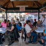 El próximo 5 de noviembre, más de 36 millones de hispano-descendientes, el 15% del total de los votantes, serán fundamentales para decidir las contiendas presidenciales y legislativas en varios estados, especialmente en territorios clave como California, Texas, Arizona y Nevada, estos dos últimos estados péndulo