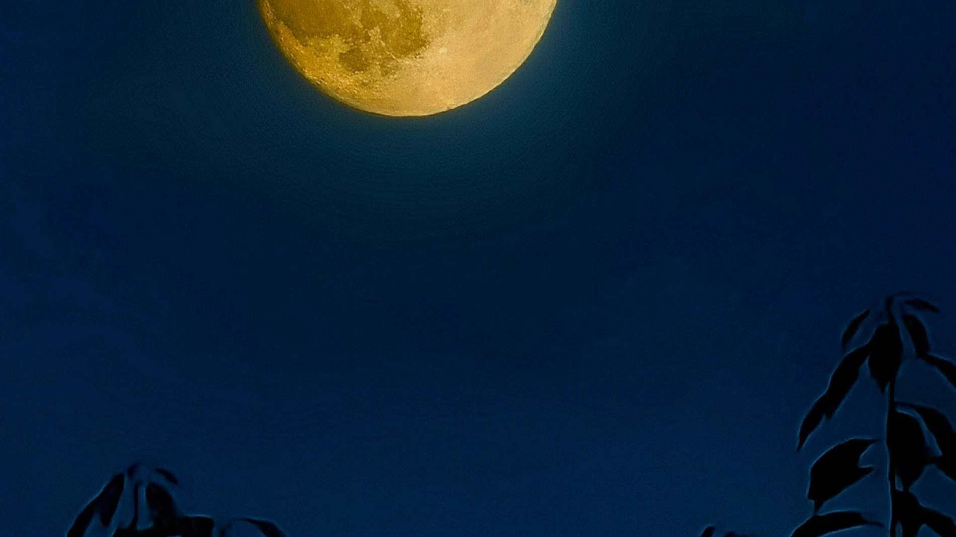Superluna