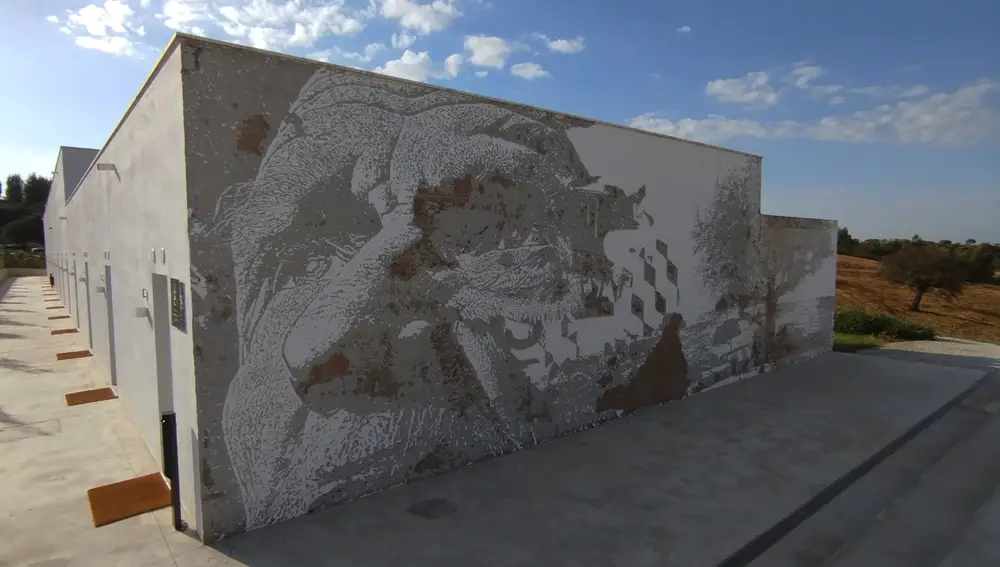 Retrato realizado sobre un muro del hotel por el famoso artista callejero Vhils