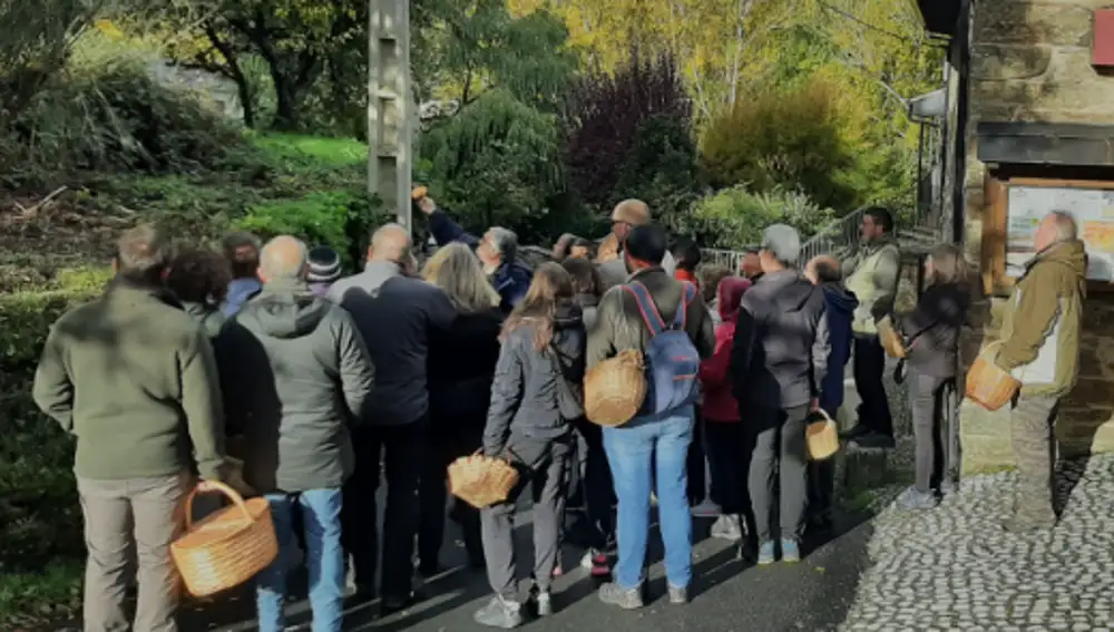 Micoturistas en Puebla de Sanabria