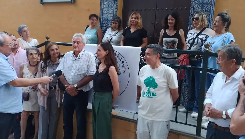 Sevilla.- Una joven que subió al ficus de San Jacinto para impedir su tala avisa de que volverá a hacerlo en su defensa
