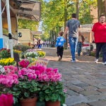 Un mercado de Brandeburgo a días de las elecciones