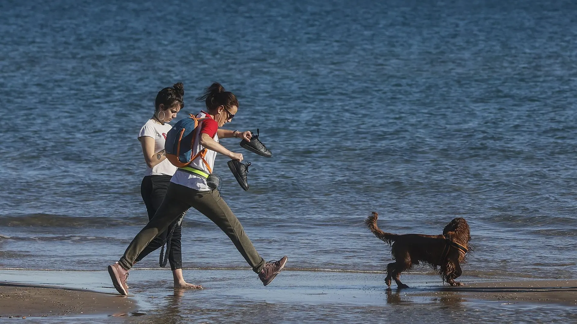 Los humanos convivían desde el Neolítico con perros pequeños que aún conservaban rasgos lobunos, según un estudio