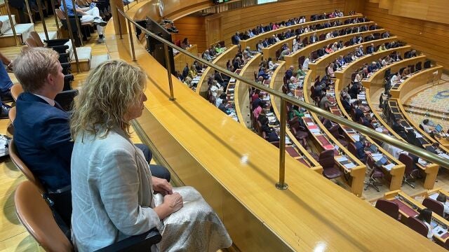 La alcaldesa de Huelva, Pilar Miranda, el pasado martes en el Senado