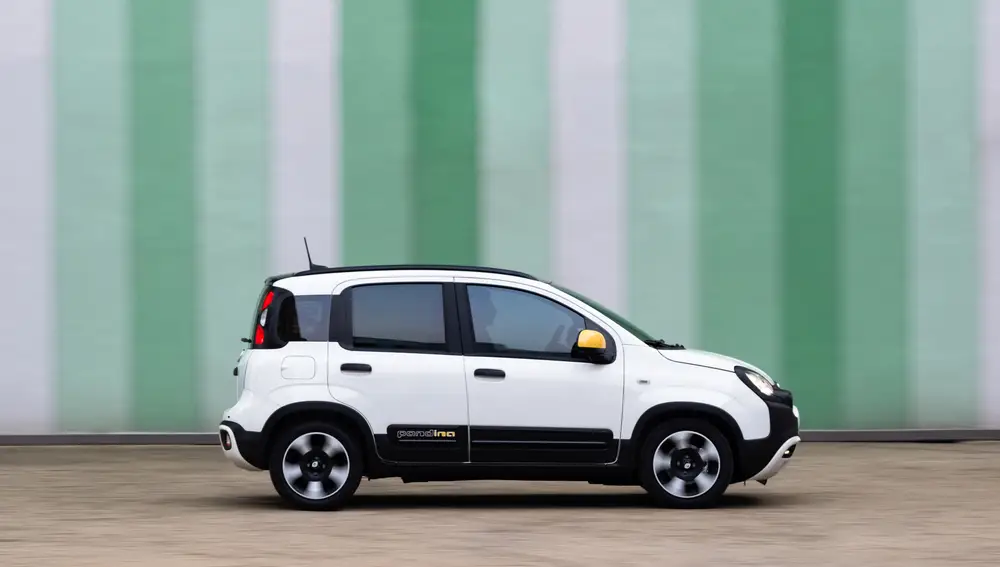 Panda
