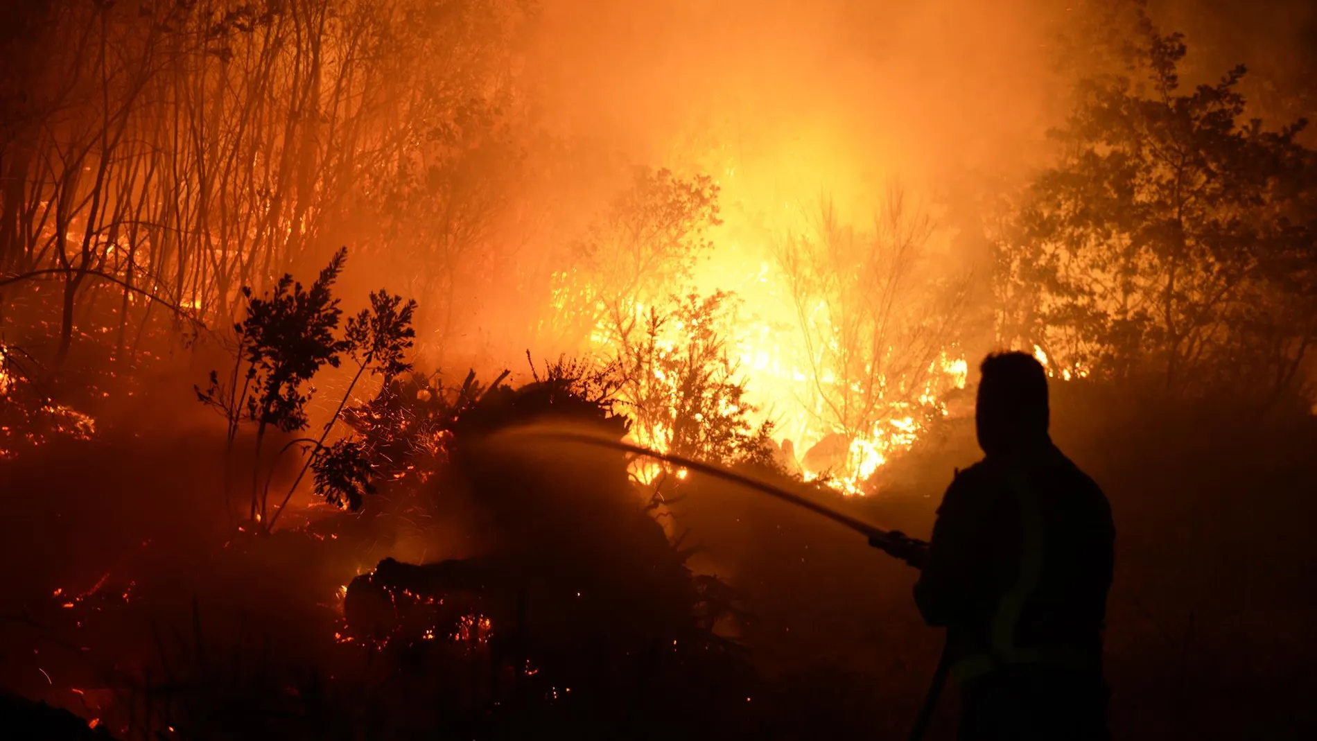 Incendio forestal en Portugal