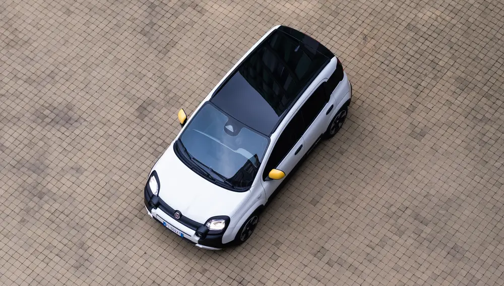 Panda