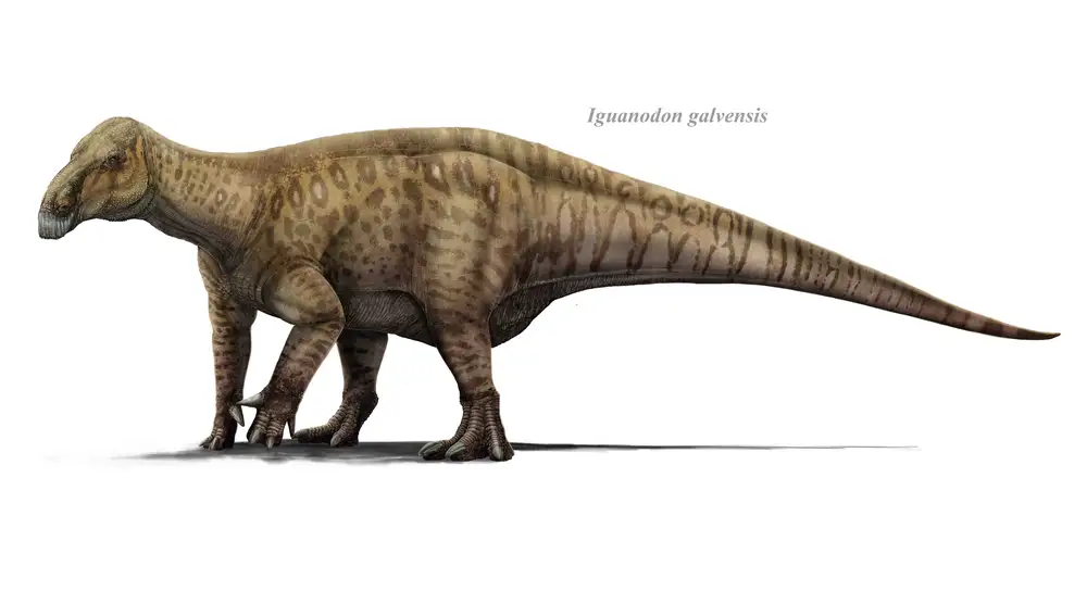 Ilustración de 'Iguanodon galvensis
