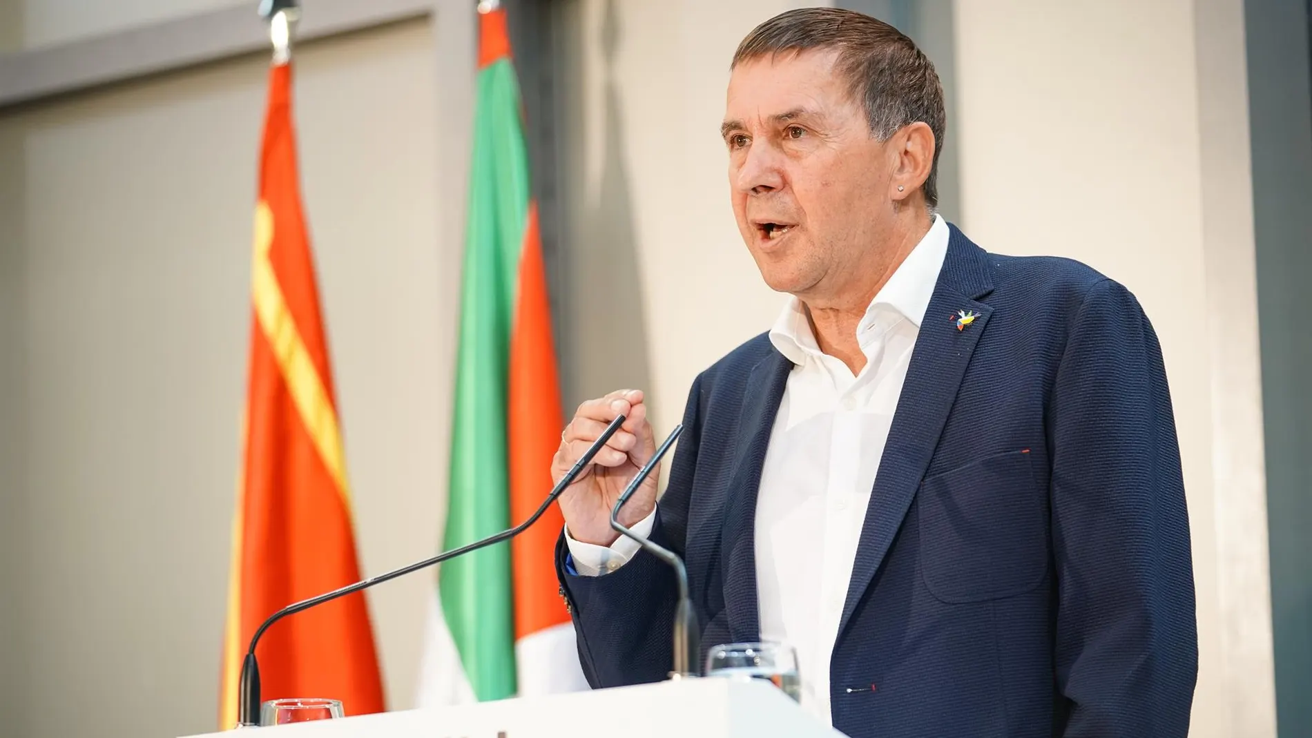 Otegi seguirá al frente de EH Bildu tras el proceso congresual que concluirá en el mes de febrero