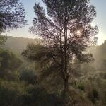 La Vega Baja tendrá un nuevo Parque Natural
