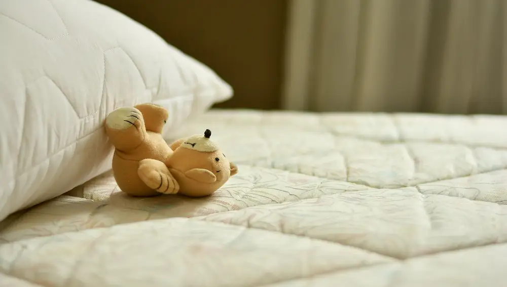 Cama con peluche