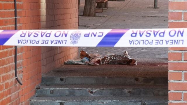 La Policía Nacional ha detenido a una persona por la muerte de un joven de 26 años esta madrugada en el distrito madrileño de San Blas, quien ha sufrido heridas en una axila causadas al parecer por una botella de vidrio. 