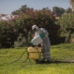 Trabajos de fumigación contra el virus del Nilo