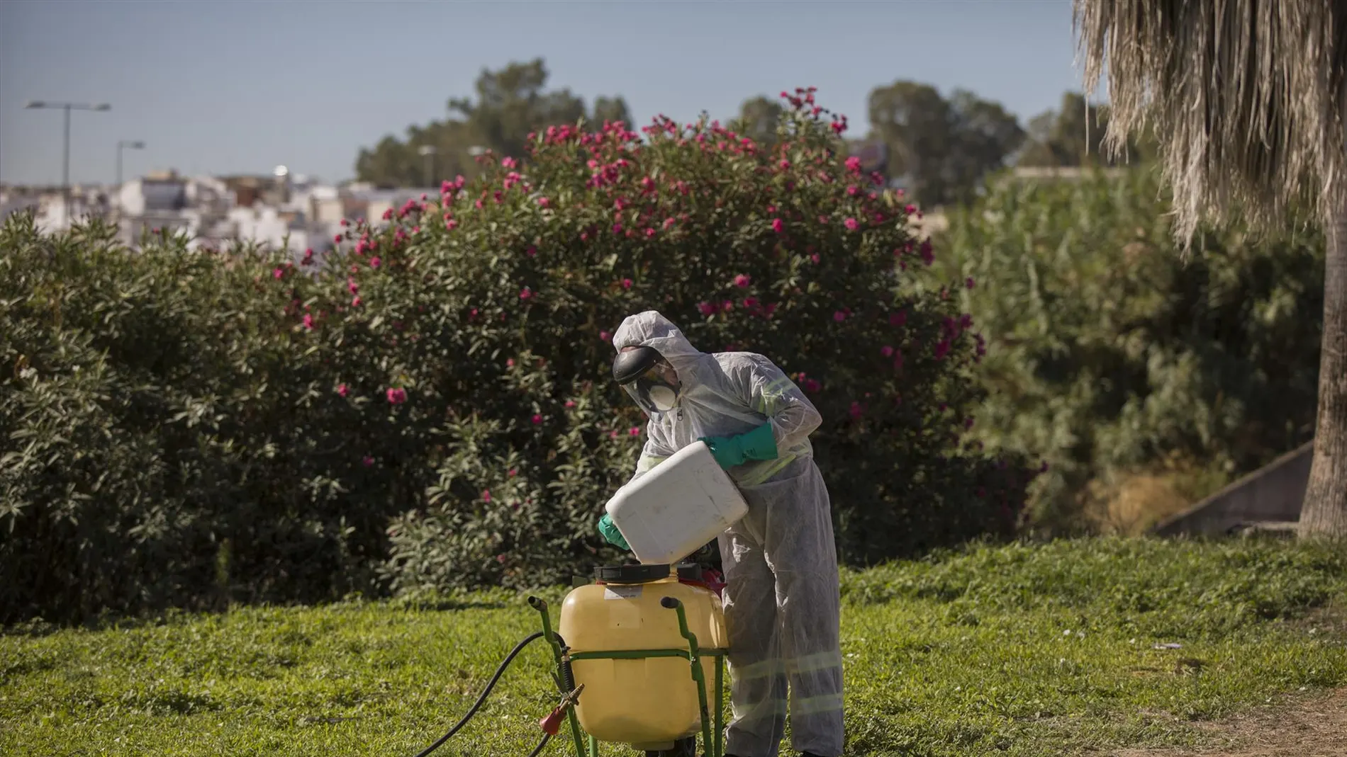 Trabajos de fumigación contra el virus del Nilo