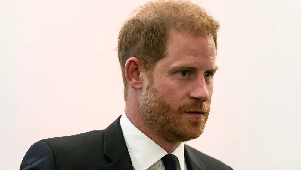 UN General Assembly Prince Harry