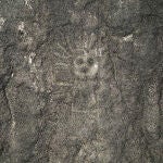 La inteligencia artificial permite identificar 303 nuevas figuras en Nazca