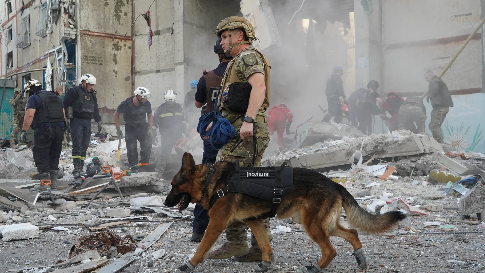 A rescue dog and handler walk among the rubble and debris after a Russian attack that hit a residential building in Kharkiv, Ukraine, Tuesday Sept. 24, 2024. (AP Photo/Andrii Marienko)