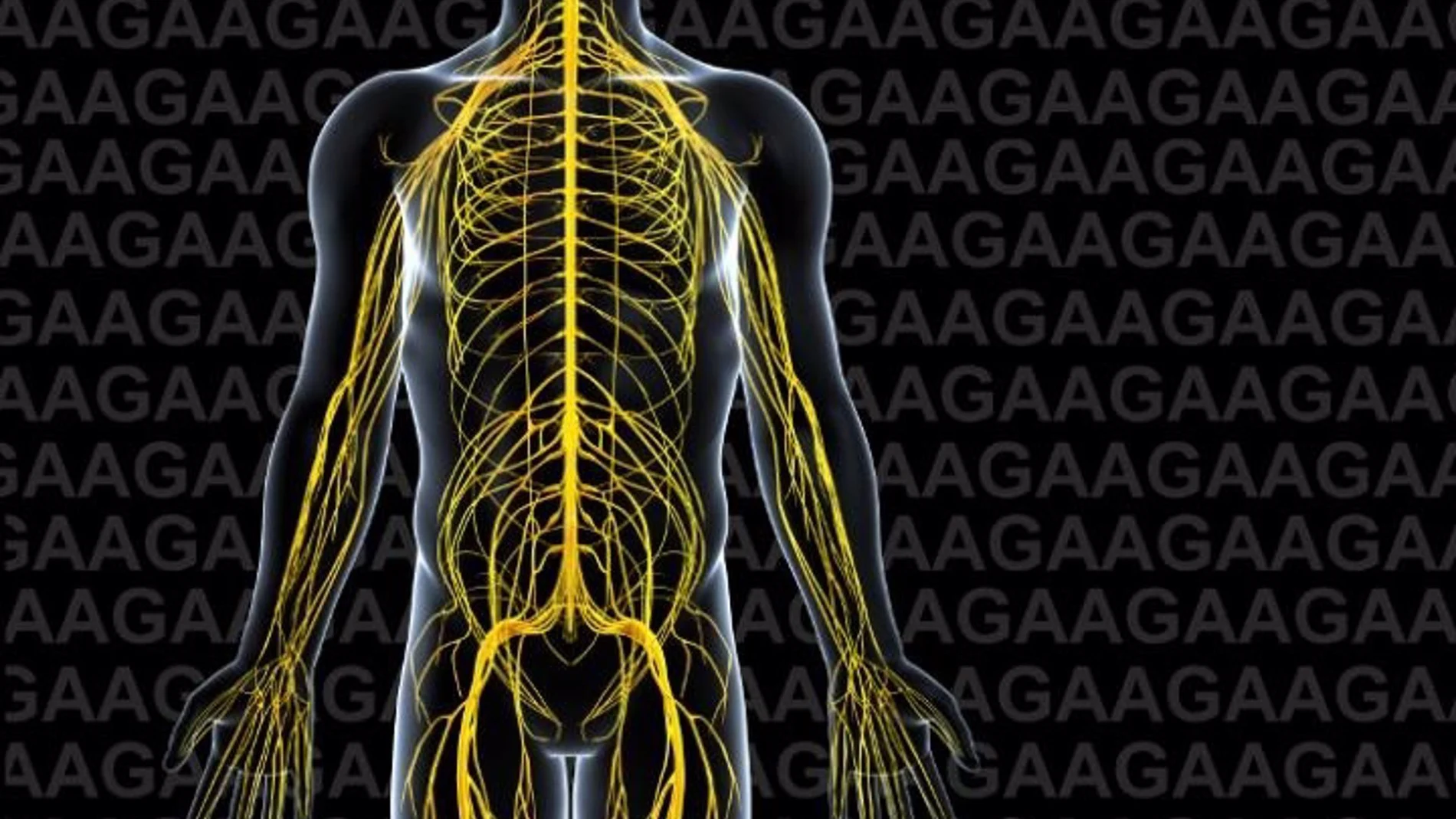 La personas con ataxia de Friedreich esperan en torno a 3 años para recibir un diagnóstico, según experta
