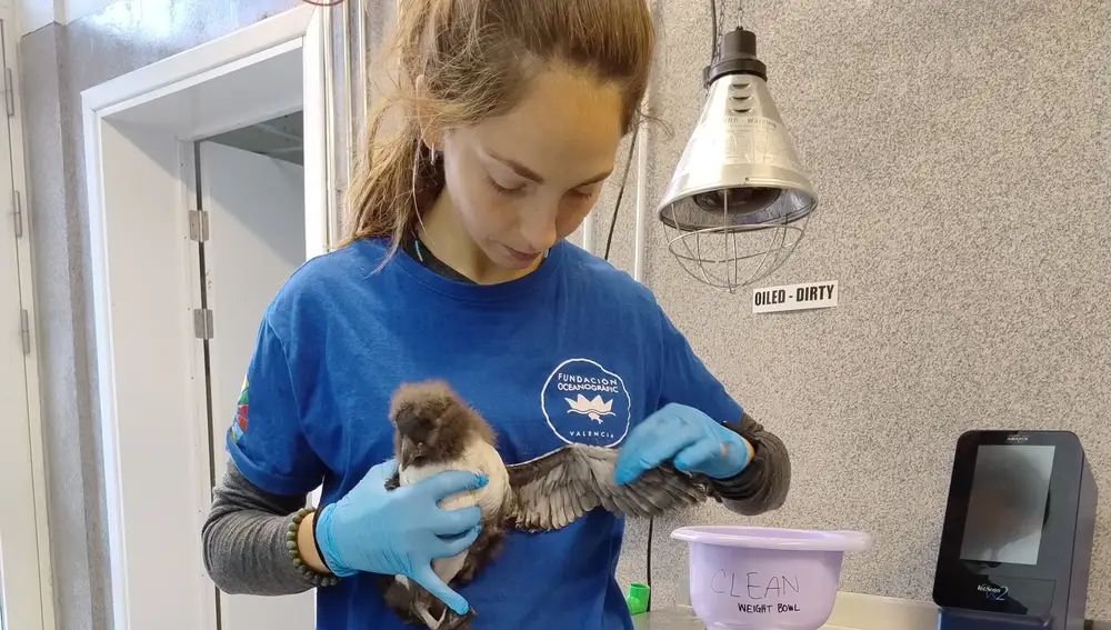 Emma García, veterinaria de la Fundación Oceanogràfic