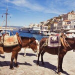 La isla de Hydra no permite a los coches circular por sus calles, así que sus habitantes y turistas deben usar el burro como medio de transporte