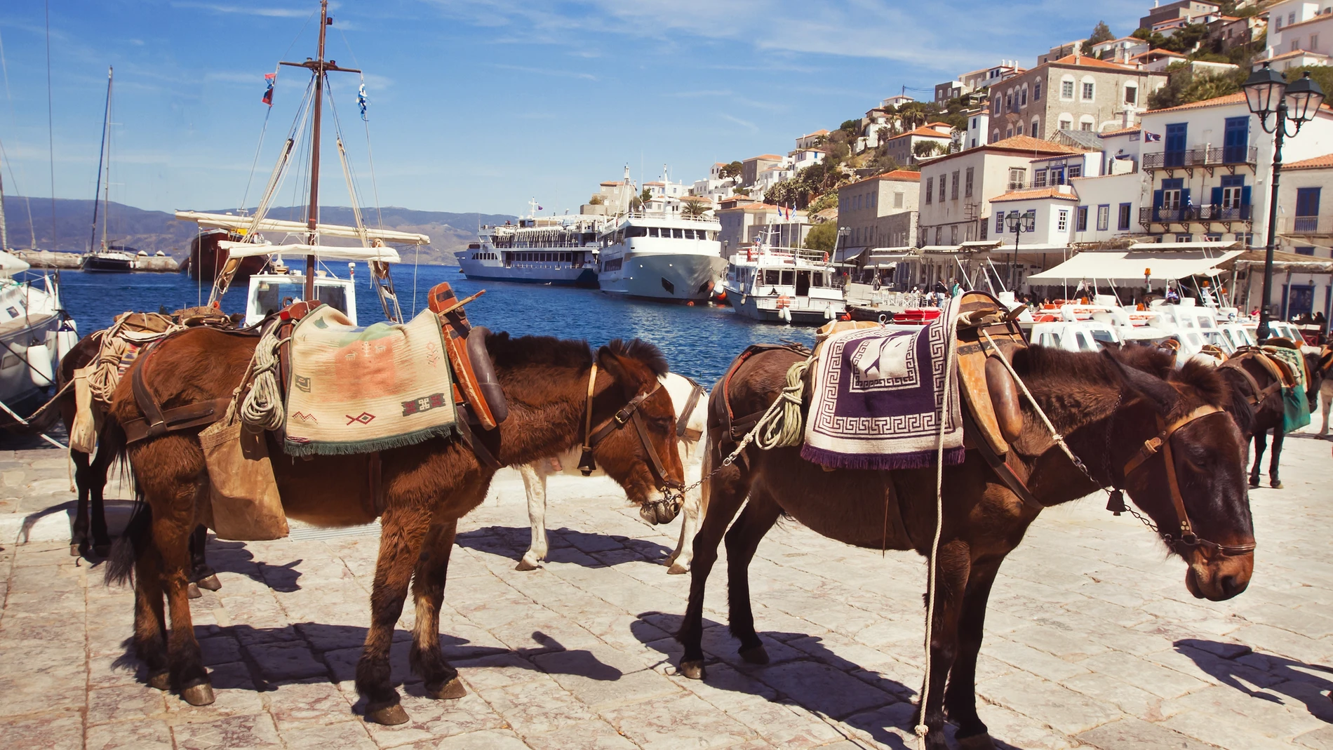 La isla de Hydra no permite a los coches circular por sus calles, así que sus habitantes y turistas deben usar el burro como medio de transporte