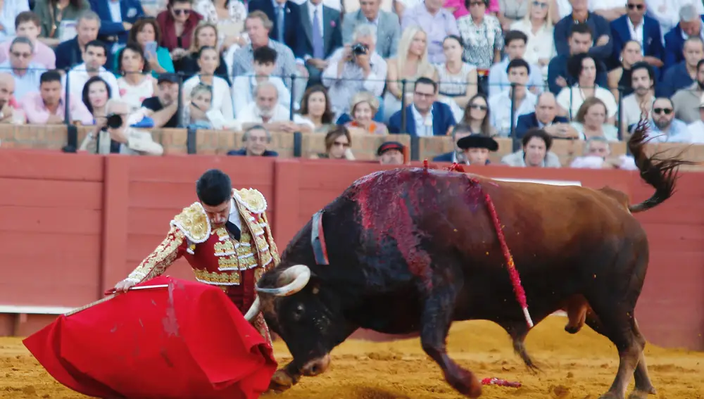 Talavante con "Dalia"
