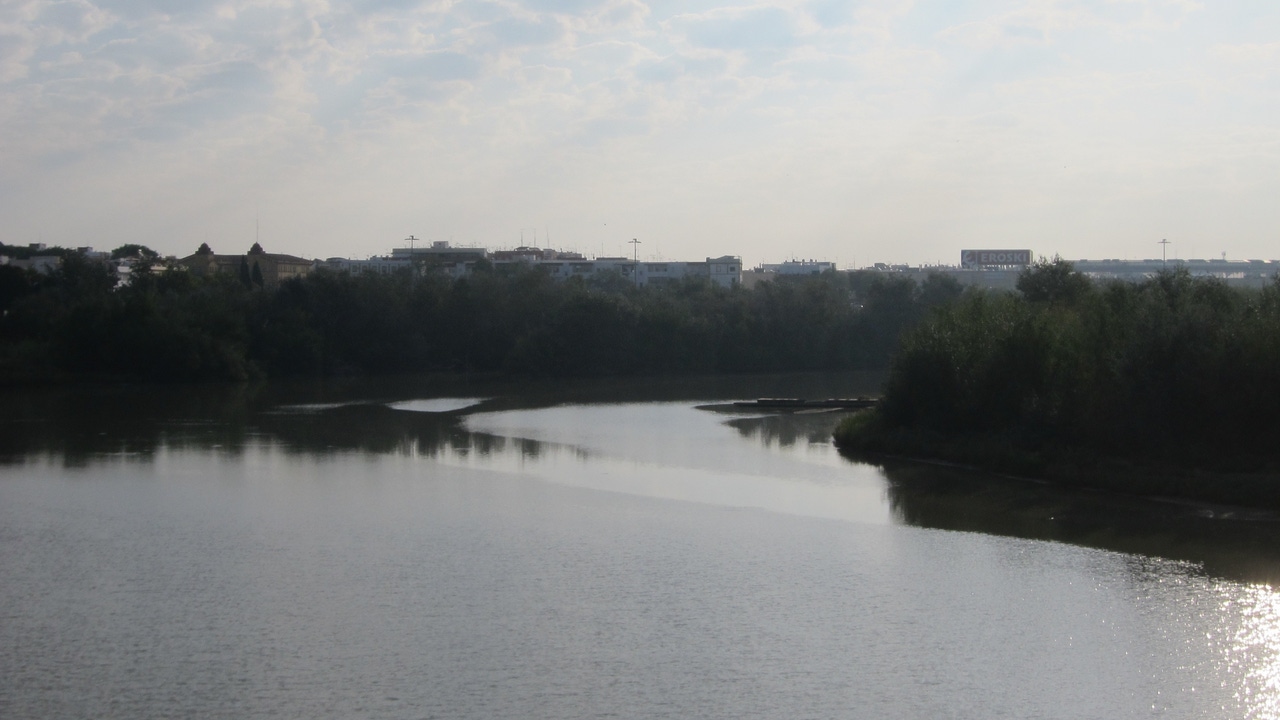 Encuentran el cadáver de una mujer en el Guadalquivir a la altura de Camas (Sevilla)