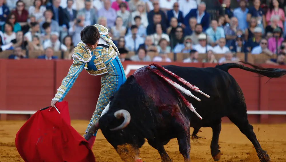 Sebastián Castella