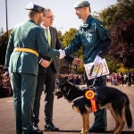 'Donald', el condecorado agente de cuatro patas que se jubila tras mil intervenciones