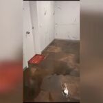 Inundación El Cañaveral