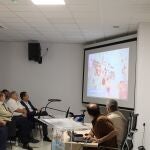 Presentación de los hallazgos